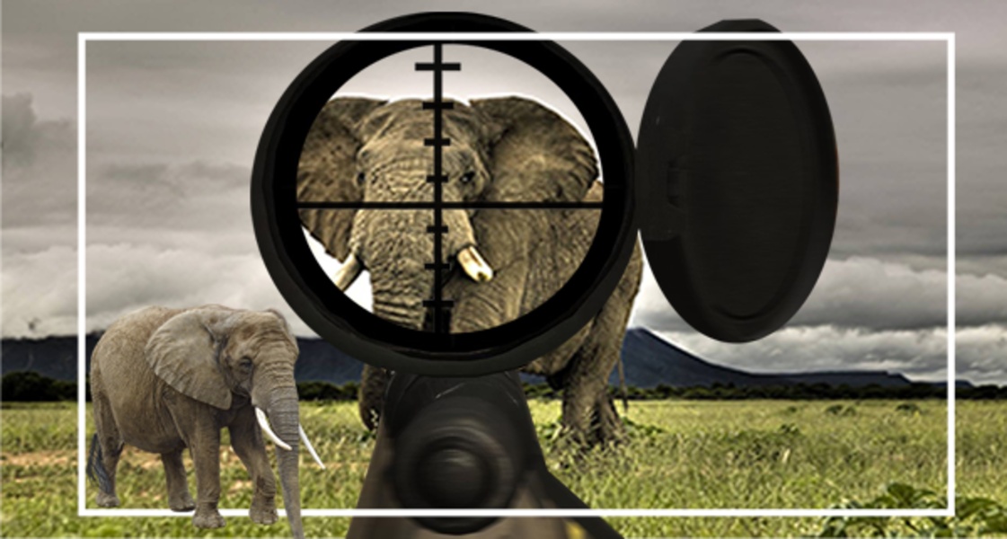 Safari Animal Hunting - Preview 1