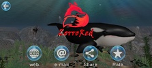 Killer Whale 3D screenshot 1