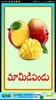 Fruits in Telugu screenshot 7