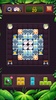 1010!Block Puzzle screenshot 13