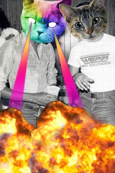 Catwang - Preview 2