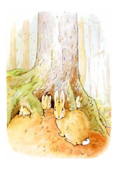 The Tale of Peter Rabbit - Preview 3
