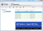 Advanced BKF Recovery Tool screenshot 1