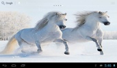 Horses in winter screenshot 4