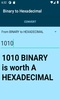 Binary to Hexadecimal converter screenshot 4