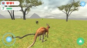 Kangaroo screenshot 2