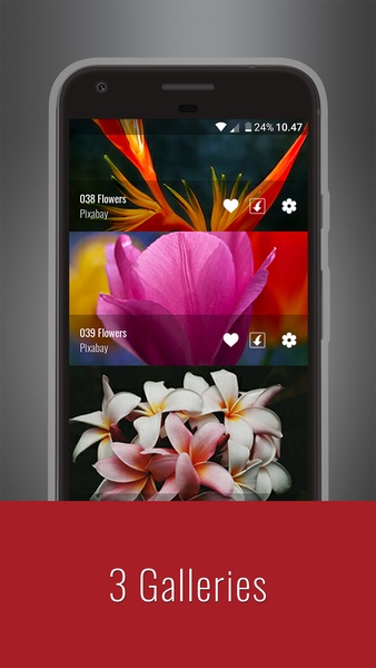 Flowers HD Wallpapers - Preview 15