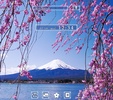 Chery Blossoms ＆ Mt. Fuji screenshot 5