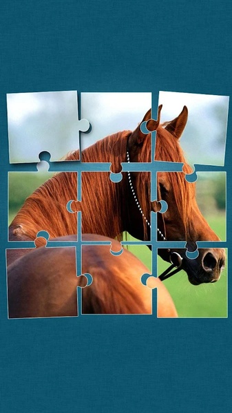 Horses Jigsaw Puzzle Game - Preview 14