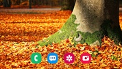 Autumn Wallpaper screenshot 6