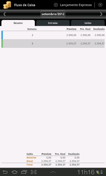 Cash Flow Lite - Preview 5