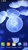 Jellyfish Live Wallpaper screenshot 10