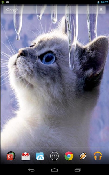 Interactive Kitten - Preview 3