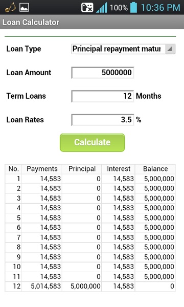 Loan Calculator - Preview 1