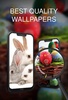 Easter Wallpapers screenshot 8