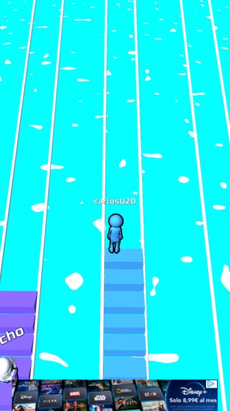 Bridge Race - Preview 2