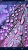 Water RainDrops Live Wallpaper screenshot 4