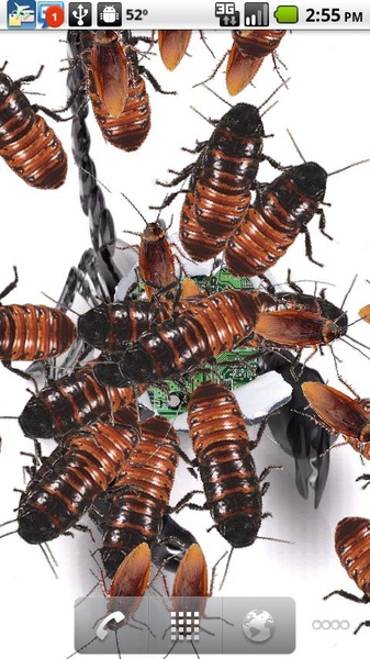 Infestation Free Live Wallpaper - Preview 2