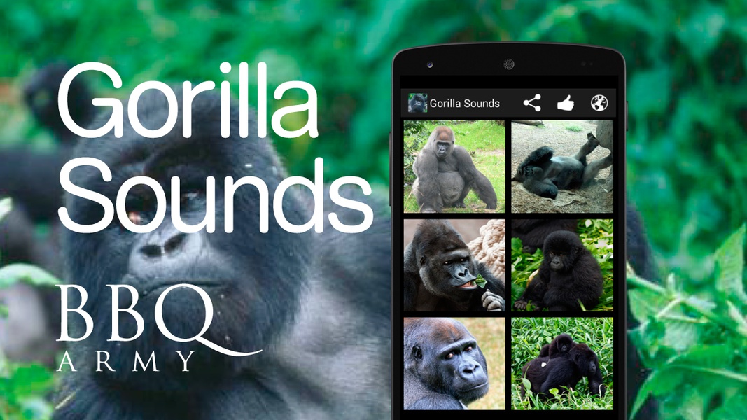 Gorilla Sounds - Preview 1
