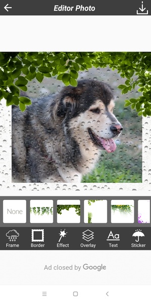 Rain Photography - Preview 2