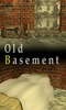 old basement screenshot 2
