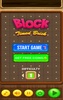 Block Timed Brick screenshot 2