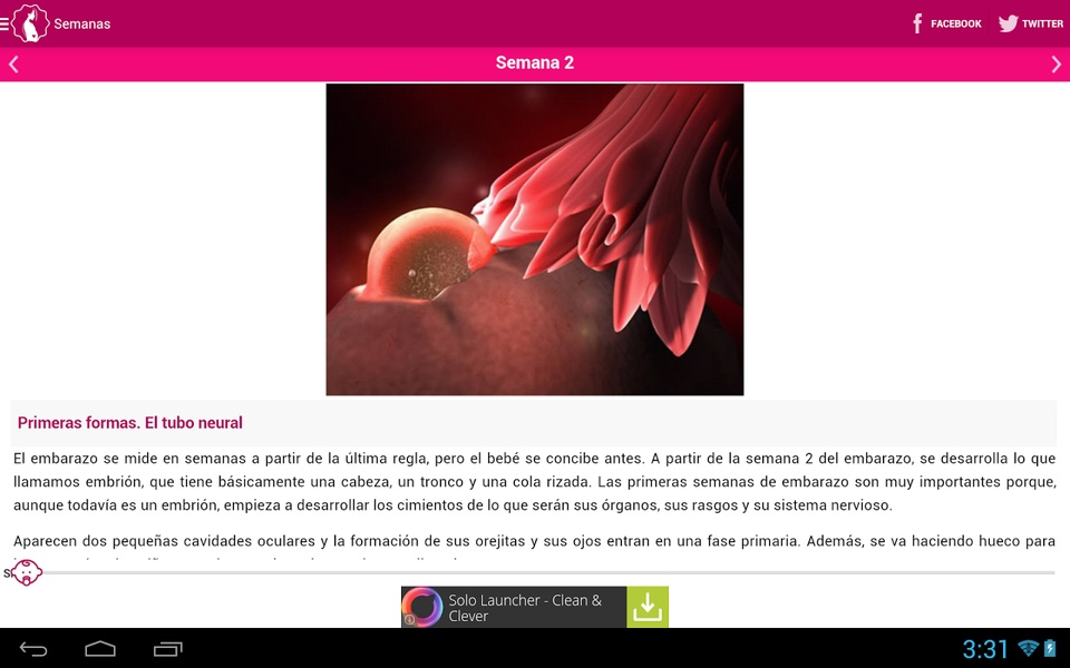 Semanas Embarazo - Preview 6