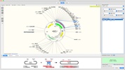 SnapGene screenshot 4