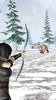 Archer Attack : Animal Hunt screenshot 6