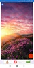 Sunrise Wallpaper: HD images, Free Pics download screenshot 8