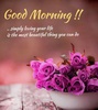 Good morning Images Gifs, Flowers Roses wallpapers screenshot 8