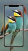 Birds Wallpaper screenshot 7