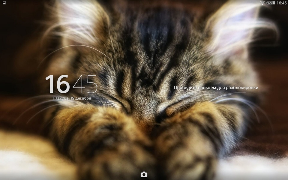 Kitty Theme - Preview 3