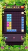 Block Puzzle Level screenshot 14