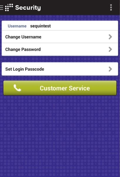 RushCard - Preview 4