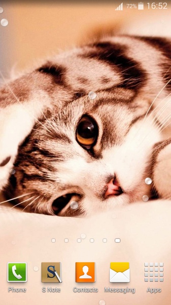 Cute Cats Live Wallpaper - Preview 3