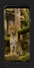 Leopard Wallpapers screenshot 5