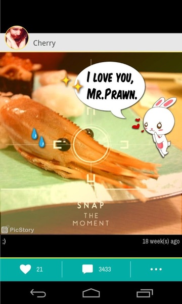 PicStory - Preview 6