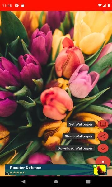 The most beautiful spring pictures around the world 4K - Preview 4
