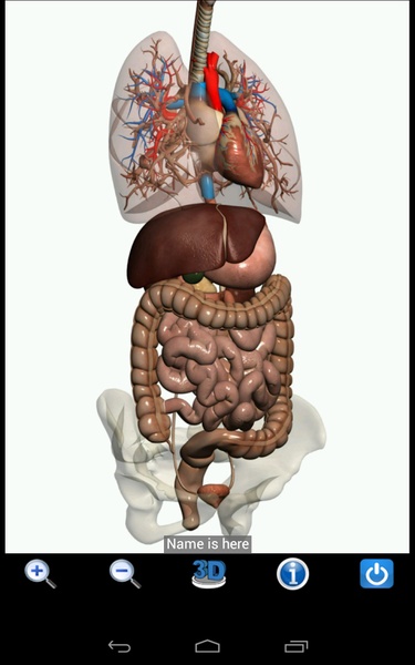 Visual Anatomy Free - Preview 10