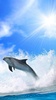 Dolphins Live Wallpaper screenshot 8