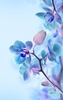 Orchid Live Wallpaper screenshot 6
