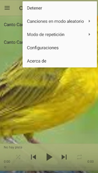 Canto Canario - Preview 2