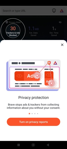 Brave Browser 1.77.95 Screenshots 9