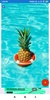 Pineapple HD Wallpapers screenshot 6