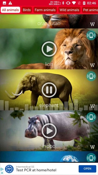 Animals: Ringtones - Preview 9