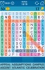 Word Search screenshot 3