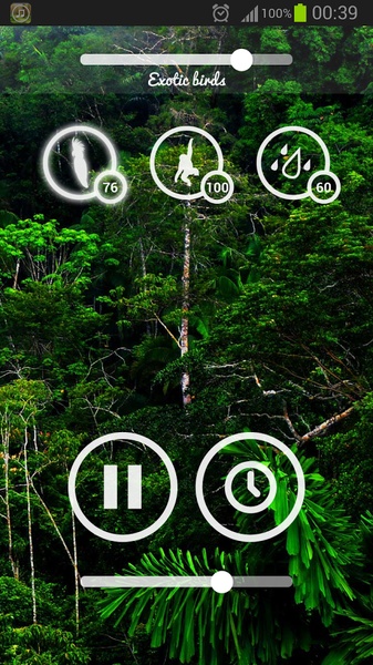 Forest Sounds - Preview 5