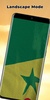 Senegal Flag screenshot 2