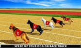 Wild Greyhound Dog Racing screenshot 7